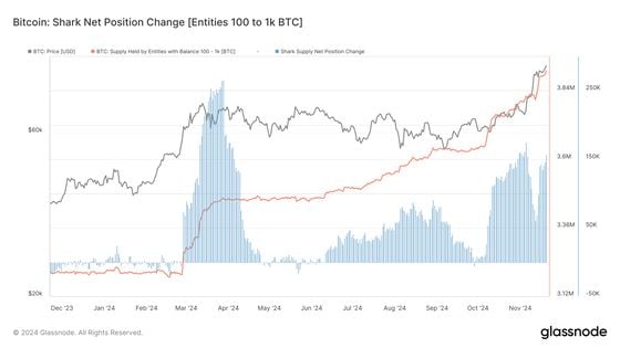 BTC Shark Net Position Change (Glassnode)