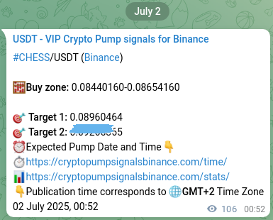 Authenticated proof of CHESS's pump signal on Binance at 02 July 2025, 03:49