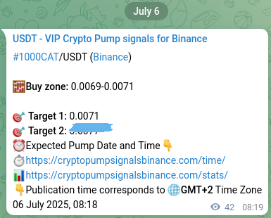 1000CAT pump signal confirmation from Binance, timestamp: 06 July 2025, 09:28