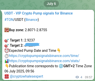 Crypto signal proof: TON pump on Binance, 06 July 2025, 10:04
