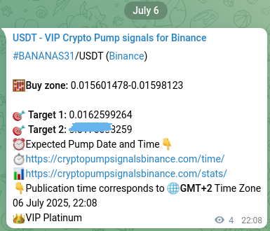 Signal authentication: BANANAS31 pump on Binance at 06 July 2025, 22:16