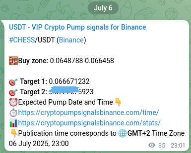 Trading signal verification: CHESS pump from Binance, 06 July 2025, 23:59