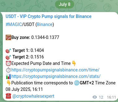 Trading signal confirmation: MAGIC pump on Binance at 08 July 2025, 16:30