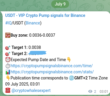 Signal verification: IQ pump on Binance at 09 July 2025, 03:04