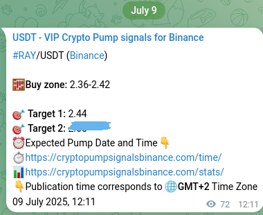 Signal authentication: RAY pump on Binance at 09 July 2025, 14:11