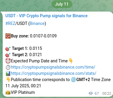 Real-time proof of REZ pump signal on Binance, 11 July 2025, 02:09 Real-time proof of REZ pump signal on Binance, 11 July 2025, 02:09