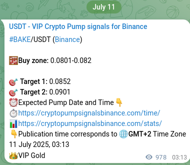 Confirm the trading signal for BAKE pump on Binance at 12 July 2025, 06:21 Trading signal confirmation: BAKE pump on Binance at 12 July 2025, 06:21