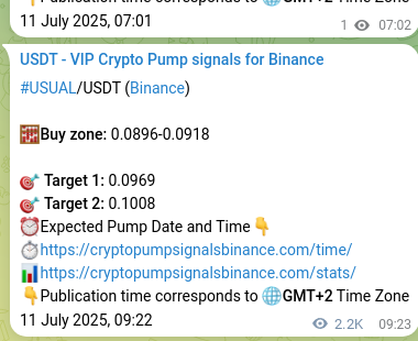 Real-time proof of USUAL pump signal on Binance, 13 July 2025, 22:49