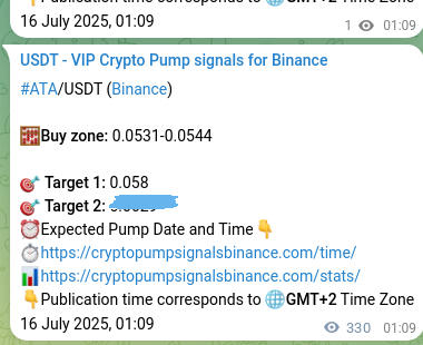 Binance signal verification for MAV pump, 16 July 2025, 10:12