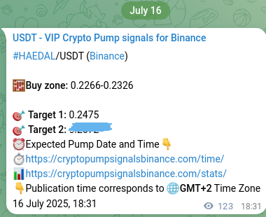 Real-time verification of HAEDAL pump signal on Binance, 16 July 2025, 21:55