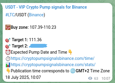 Confirm the trading signal for LTC pump on Binance at 18 July 2025, 11:53 Trading signal confirmation: LTC pump on Binance at 18 July 2025, 11:53