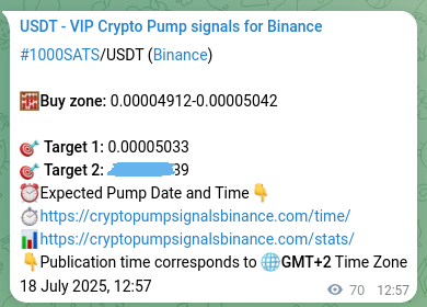 Validate algorithmic accuracy: 1000SATS pump signal proof on Binance, 18 July 2025, 14:53 Algorithmic validation: 1000SATS pump signal accuracy on Binance, 18 July 2025, 14:53
