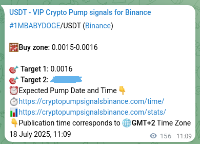 Validate execution timing: 1MBABYDOGE pump signal precision on Binance, 18 July 2025, 15:29 Risk-adjusted verification: 1MBABYDOGE pump signal quality on Binance, 18 July 2025, 15:29