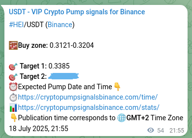 Learn about the HEI pump signal confirmation from Binance, 18 July 2025, 23:24 HEI pump signal confirmation from Binance, timestamp: 18 July 2025, 23:24