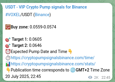 VOXEL pump signal confirmation from Binance, timestamp: 23 July 2025, 05:50