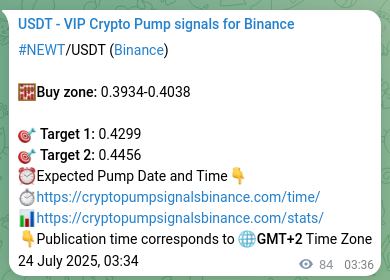 Crypto market signal proof: NEWT pump on Binance, 24 July 2025, 05:53