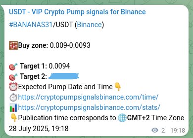 BANANAS31 pump signal verification from Binance, timestamp: 28 July 2025, 19:20