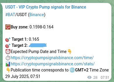 Crypto pump signal verification for BAT on Binance, 29 July 2025, 08:38