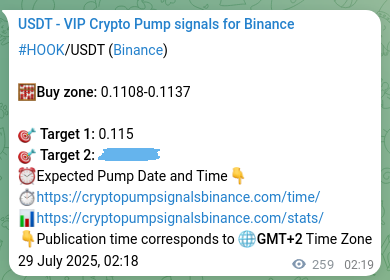 Execution validation: HOOK pump signal timing on Binance, 29 July 2025, 09:30