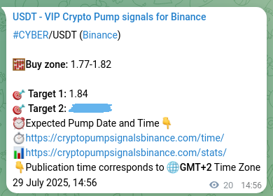 Crypto trading signal verification: CYBER pump on Binance, 29 July 2025, 15:29