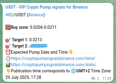 Live proof of REI pump signal on Binance, 29 July 2025, 17:32