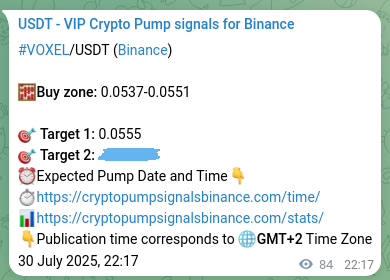 VOXEL pump signal verification from Binance, timestamp: 31 July 2025, 00:37