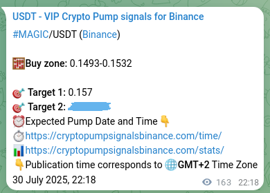 Binance signal verification for MAGIC pump, 31 July 2025, 02:50