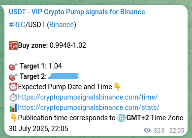 Technical authentication: RLC signal execution proof on Binance, 31 July 2025, 07:04