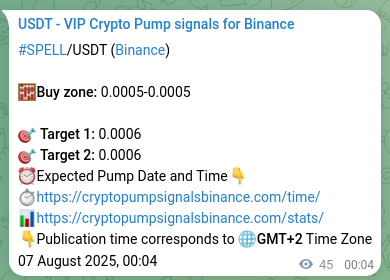 SPELL pump signal verification from Binance, timestamp: 07 August 2025, 01:19