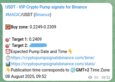 Authenticated MAGIC pump signal on Binance, 08 August 2025, 11:23