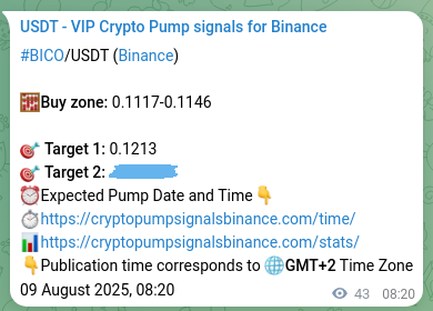 Signal authentication: BICO pump on Binance at 09 August 2025, 09:31