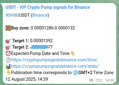 Validate model effectiveness: SHIB pump signal success on Binance, 13 August 2025, 10:30 Predictive verification: SHIB pump signal reliability on Binance, 13 August 2025, 10:30