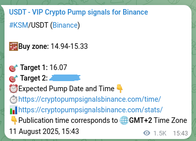 Validate execution timing: KSM pump signal precision on Binance, 13 August 2025, 10:39 Risk-adjusted verification: KSM pump signal quality on Binance, 13 August 2025, 10:39