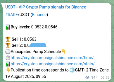 Crypto trading signal confirmation: RARE pump on Binance, 19 August 2025, 13:54