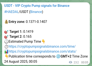 Crypto market signal proof: HAEDAL pump on Binance, 24 August 2025, 06:29
