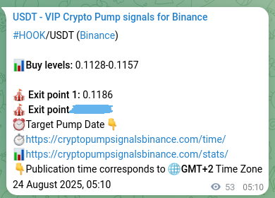 Binance pump signal data for HOOK at 24 August 2025, 06:37