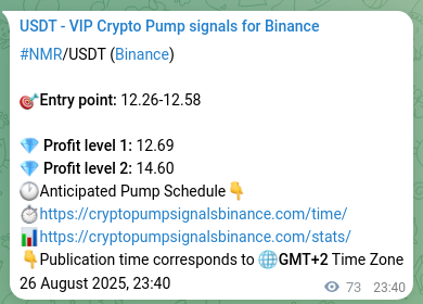 NMR pump signal verification from Binance, timestamp: 27 August 2025, 01:42