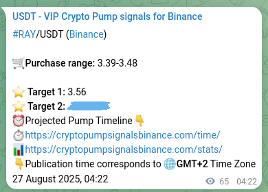 RAY pump signal confirmation from Binance, timestamp: 27 August 2025, 06:11