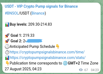 Authenticated BNSOL pump signal on Binance, 27 August 2025, 06:13