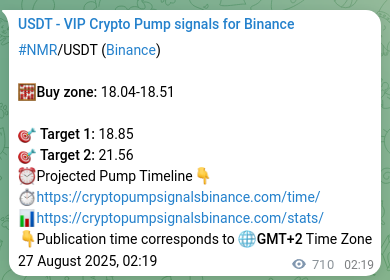 Market signal authentication: NMR on Binance at 27 August 2025, 22:01