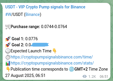 W signal verification on Binance, 28 August 2025, 16:30