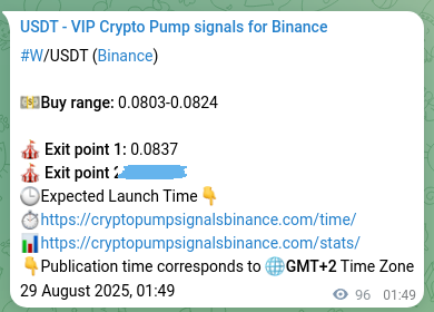 Binance pump signal data for W at 29 August 2025, 04:27