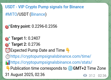 Binance signal verification for MITO pump, 31 August 2025, 11:11