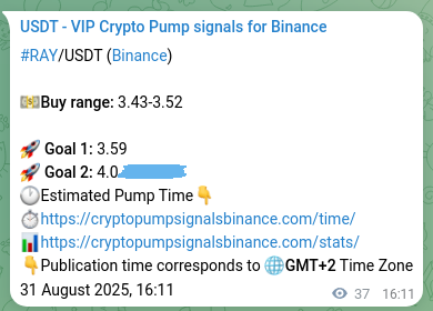 Binance pump signal verification for RAY at 31 August 2025, 17:11