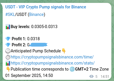 Signal verification: SKL pump on Binance at 01 September 2025, 14:58