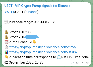 Crypto trading signal confirmation: WLFI pump on Binance, 02 September 2025, 23:11