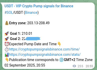 SOL pump signal verification from Binance, timestamp: 03 September 2025, 03:59