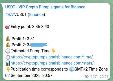 Binance pump signal proof for RAY on 03 September 2025, 04:03