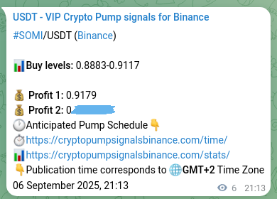 Crypto trading signal verification: SOMI pump on Binance, 06 September 2025, 21:23
