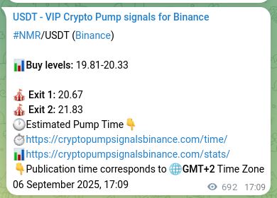 Authenticated NMR pump signal on Binance, 07 September 2025, 12:20